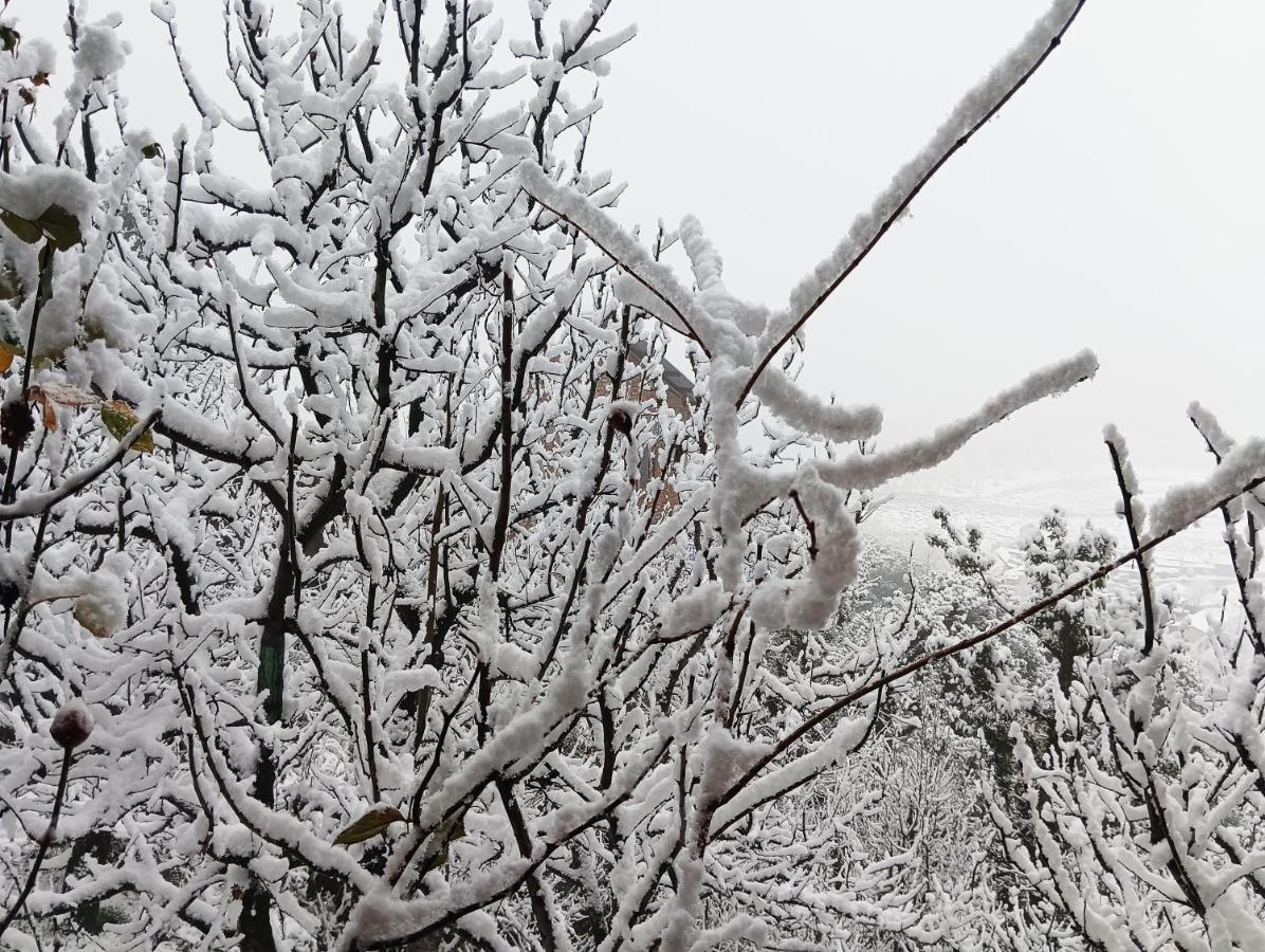 Roop Mountain Homestay Manāli エクステリア 写真