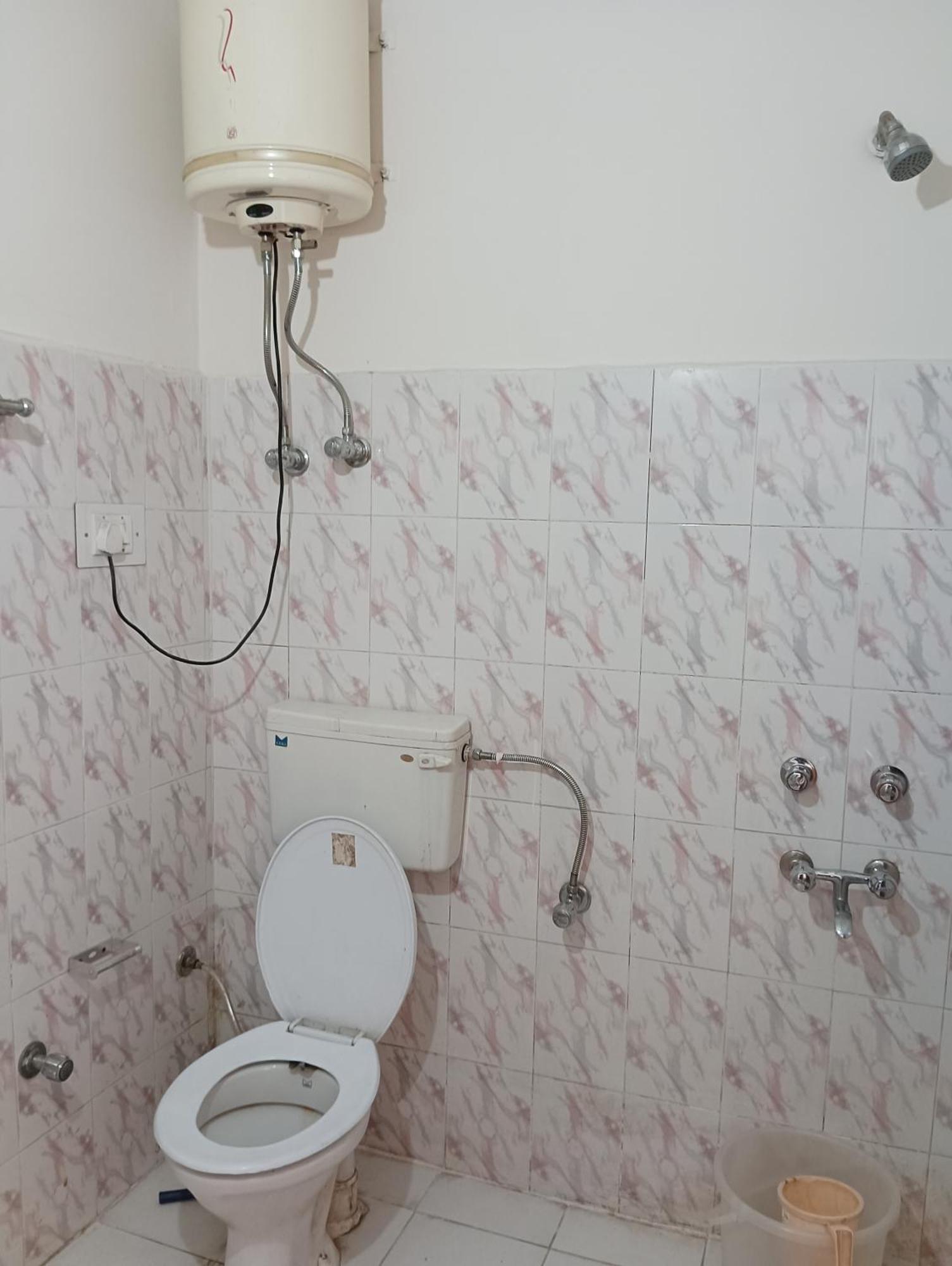 Roop Mountain Homestay Manāli エクステリア 写真